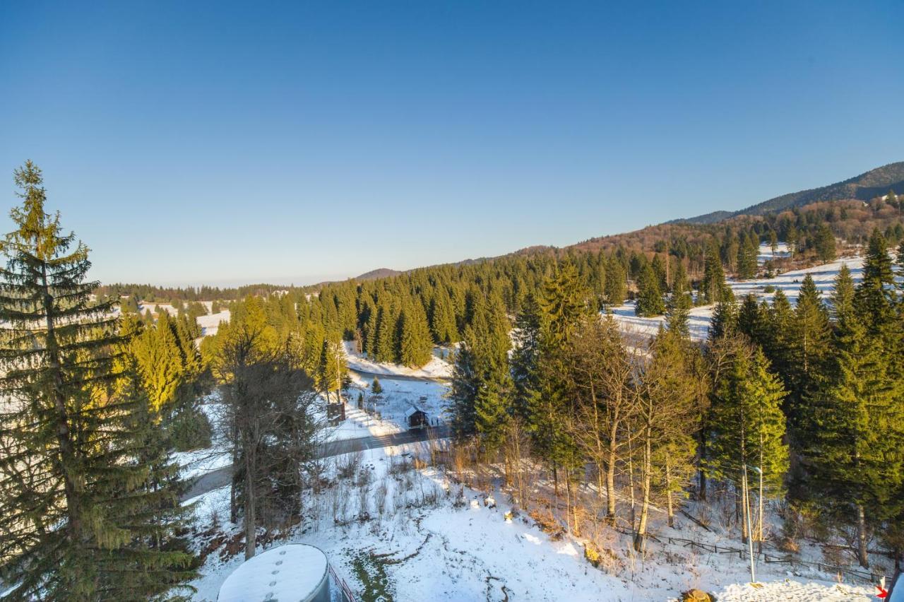 Forest Corner In Silver Mountain Of Poiana Brașov Exterior foto