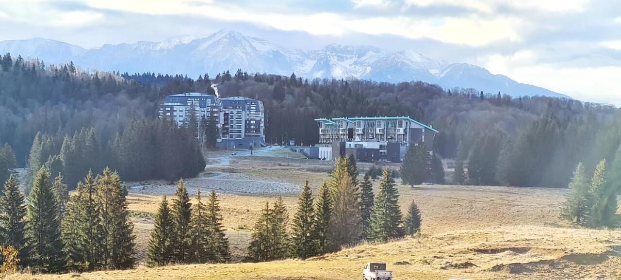 Forest Corner In Silver Mountain Of Poiana Brașov Exterior foto